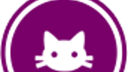 Kitten Kollege