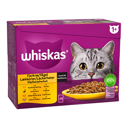 Whiskas® 1+ Ragugryta Fågelmeny, 12x85g