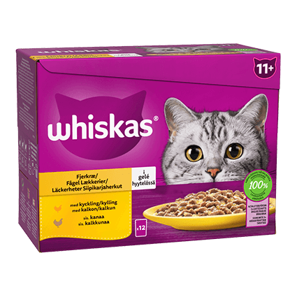 Whiskas® 11+ Ragugryta Fågelmeny, 12x85g