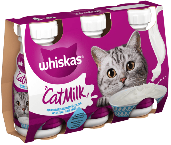 Catmilk 3 pack